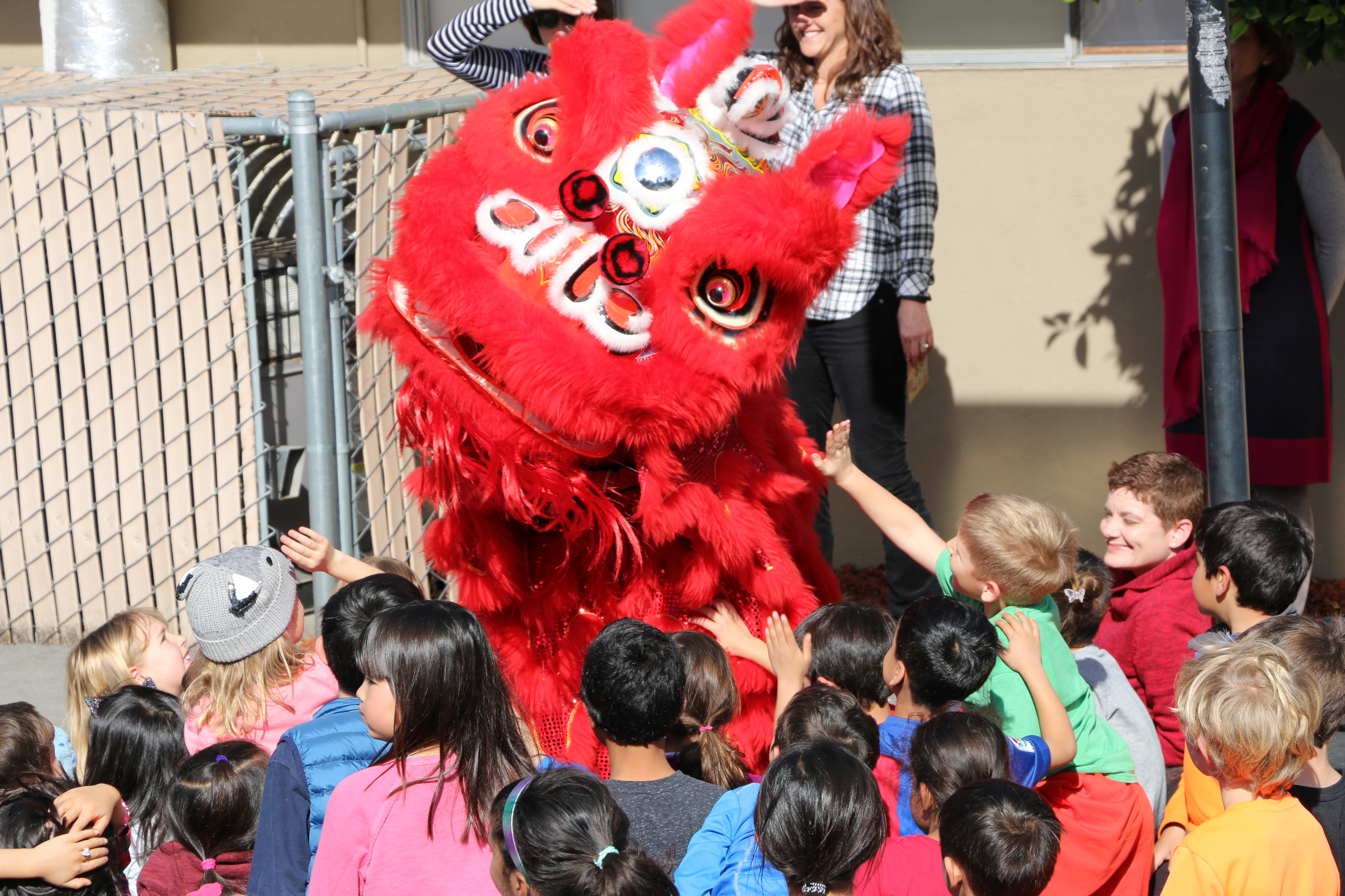 Chinese New Year