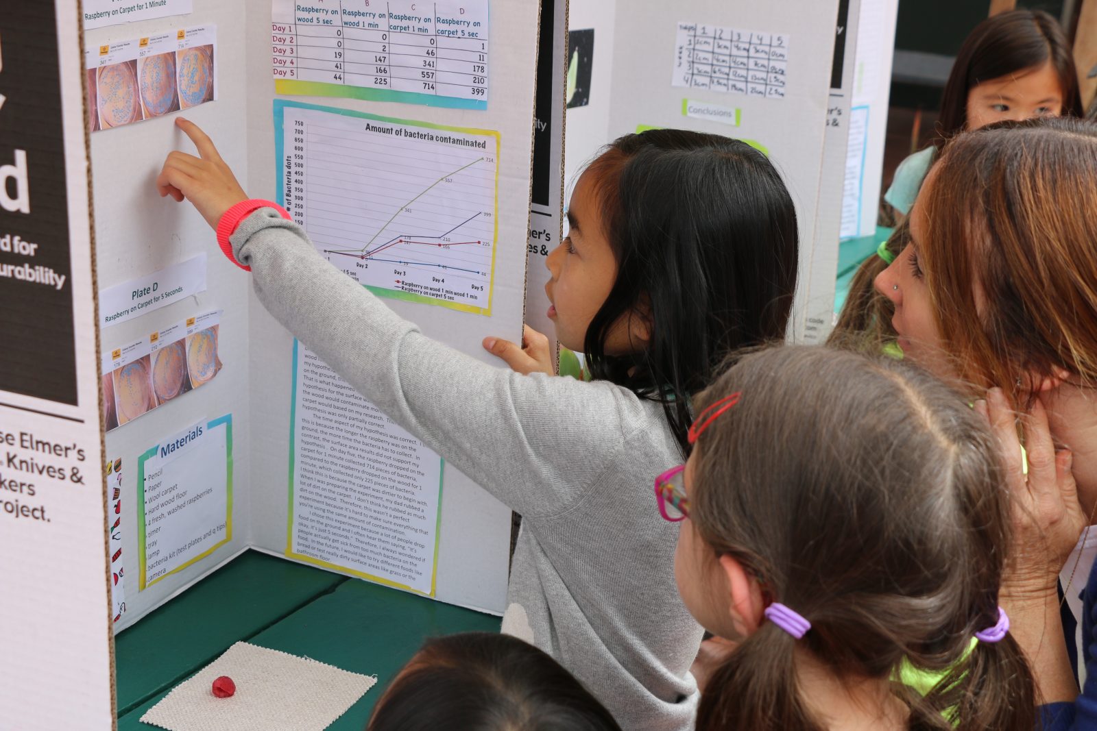 Science Fair
