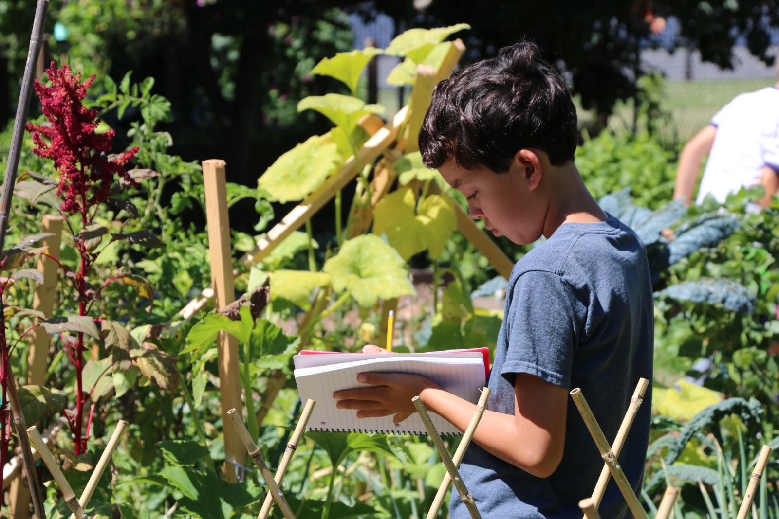 Exploring Gardens